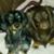 Tammie Lubner's profile image