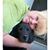 Karen Kruk Turbush's profile image