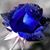 Robyn Werner's profile image