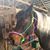 Amy Karol Strong's profile image