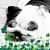 Terry Young's profile image