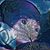 Ajiah Daer's profile image