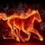 Denise Perry's profile image