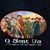 Sandy Maritz's profile image