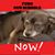 Beth Marks Silverman Baracani's profile image