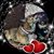 Kelli Rortvedt's profile image