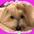 Deborah Marie's profile image