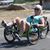 Tamara Quinton's profile image