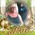 Presley Dawn Royston's profile image