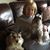 Jolene Mielotz Reith's profile image