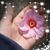 Akelia Lewis's profile image