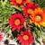 Loralyn Noragong's profile image
