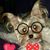 Mary Ann Mata's profile image