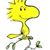 Dan Cotey's profile image