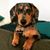 Cesar Linares's profile image