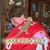 Sue Koehler's profile image