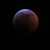 Joleen Albrecht Schultz's profile image