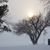 Mary Jo Kaiser Budde's profile image