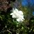 Eleska Kaay's profile image