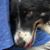 Beverly Hadley's profile image
