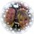 Kimberly Bach's profile image