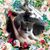 Amanda MacGregor Peirce's profile image
