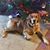 Kellie Jo's profile image
