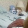 Tracy H.'s profile image