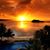 Lynn Greene Adams's profile image