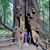 Sharon H Shaw's profile image