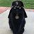 Mary Neff's profile image