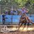 Gerardo Gandara's profile image