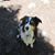Clark Webster's profile image