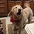 Barb Pittner's profile image
