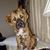 Mary Ratliff's profile image