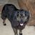 Vickie Rice's profile image