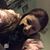 Gina Johnson's profile image
