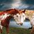 Cynthia Marie's profile image