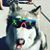 Brock Weyman's profile image