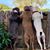 Lindsay Damron's profile image