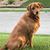 Amberley Hempfling Terry's profile image