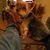 Mark Gordon's profile image