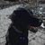 Suzannah Stivison's profile image