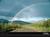 Debie S.'s profile image