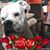 Sandy Carmona's profile image