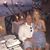 Don Johnson's profile image