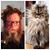 Christian Rowlett's profile image