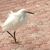 Jennifer Berryman's profile image