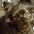 Jae Elrod's profile image