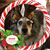 Mary Rothenbach's profile image